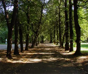 Homestead pentru o sedinta foto la Moscova