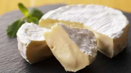 camembert