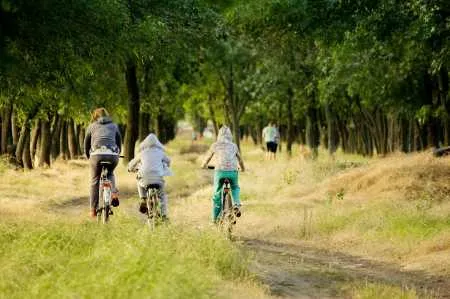 bicicletă