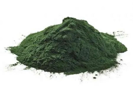 chlorella