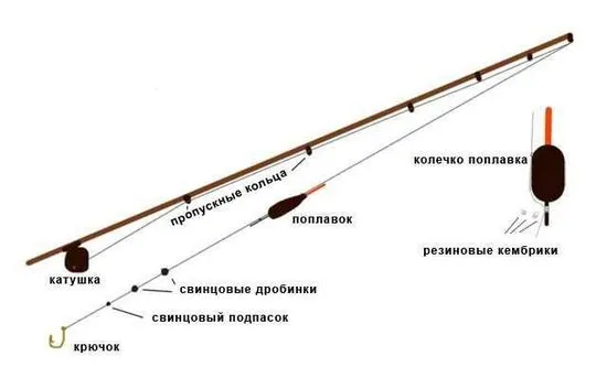 Риболов на лин на въдица на плувка, оборудване, подхранване и стръв