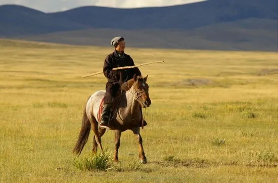 Rasa de cai mongoli, descrierea și fotografia sa