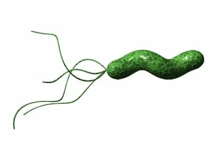 Лечение на Helicobacter pylori с прополис