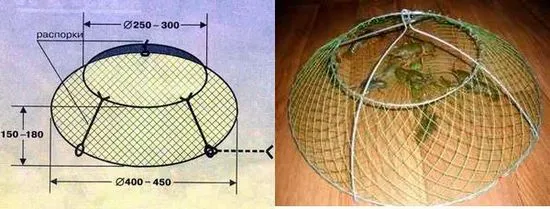 Как да направите черупка със собствените си ръце