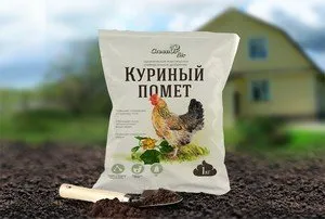 пилешки