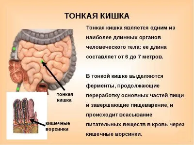 Как да почистите тънките и дебелите черва у дома