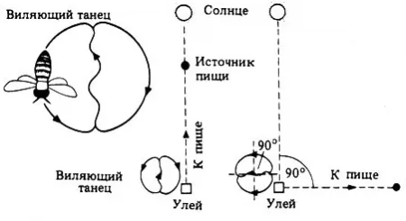 пчели