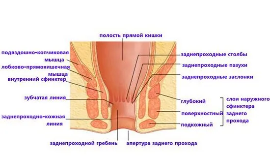 Причини за болезнени усещания в ануса