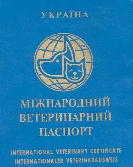 Защо се нуждаете от ветеринарен паспорт за котка, регистрация, цени Murkote за котки и котки