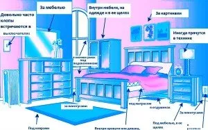 Как да се отървете от дървеници в апартамент сами, как да определите дали има такива в апартамента, откъде идват, как правилно да отровите, методи за унищожаване