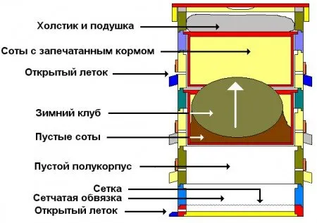 пчели