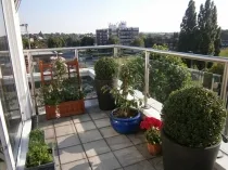 Crească flori pe balcon, o fotografie din grădina de iarnă pe balcon și loggie, de selecție a plantelor pentru solare