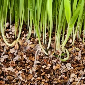 plantelor vermiculit - gradina fara griji