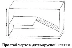 правилна