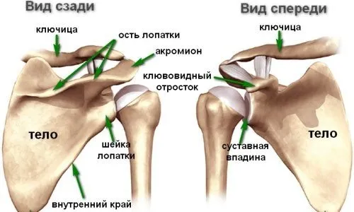 Операция на ключицата