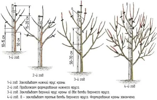 есента