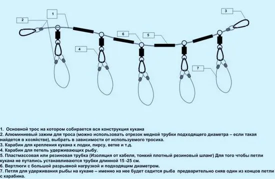 собствените