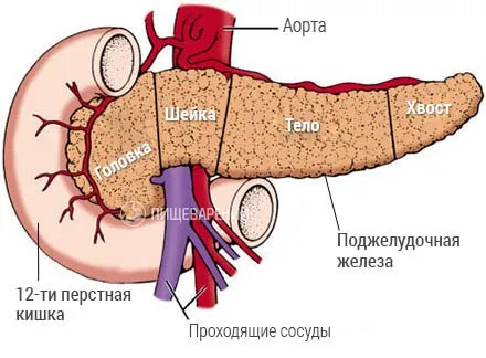 част