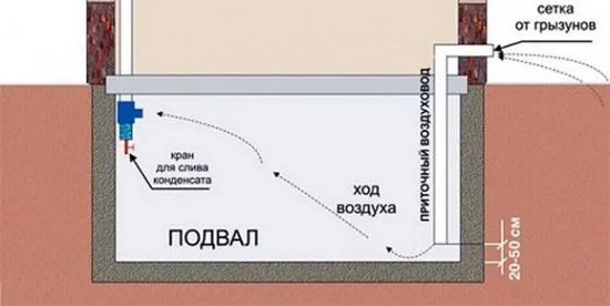 сутерена