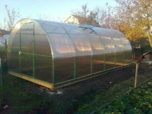 greenhouse