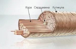 Косопад след боядисване - причини, лечение