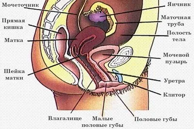 Рецидивиращ цистит при жени, симптоми, лечение