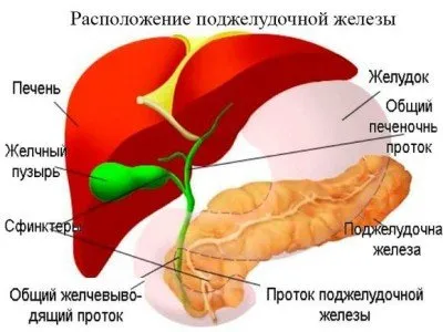 Дифузни промени в панкреаса: какви са те, признаци, лечение