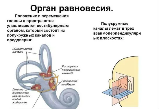 сутрин