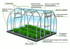 Аркови оранжерии от поликарбонат, монтаж на оранжерия от поликарбонат