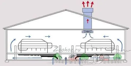 Vislobryuhie или виетнамски свине и свинско отглеждането, развъждането и грижи в дома с