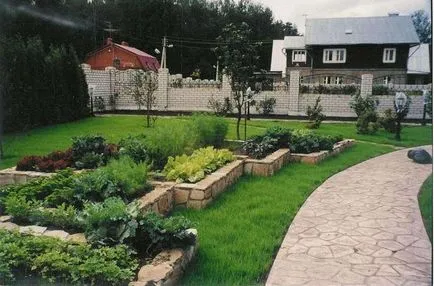 Nagy növényi ágy és mik a jellemzői a design, osadovod - minden Sade, kert