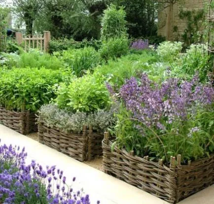 Nagy növényi ágy és mik a jellemzői a design, osadovod - minden Sade, kert