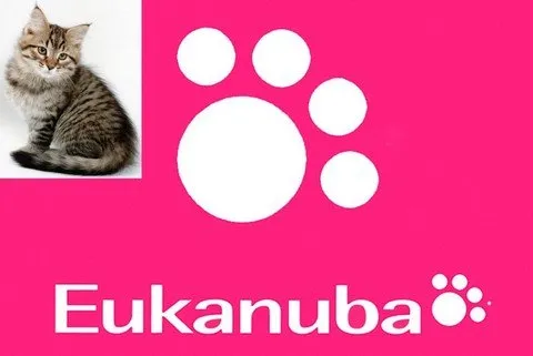 Храна Eukanuba, която изсипвате в купата на вашата котка