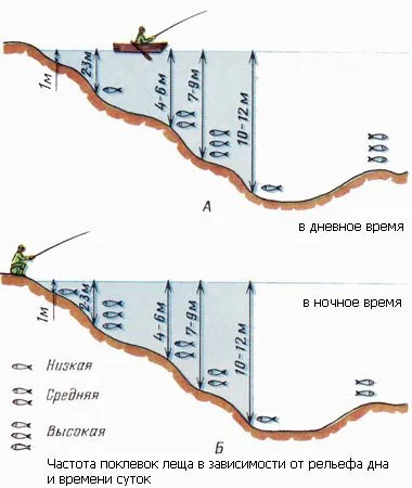 основни