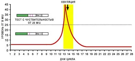 деня