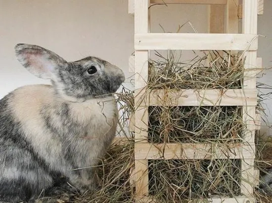 Cutie de fân pentru iepuri cu propriile mâini, foto și video