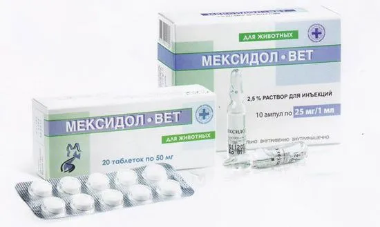 Mexidol-vet за котки, прегледи, инструкции за употреба, противопоказания на Murkote за котки и котки