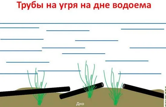 Риболов на змиорка с тръба, къде да хванете змиорка