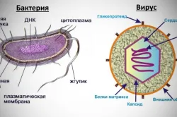 какво