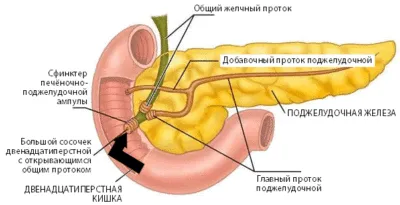 Реактивен панкреатит симптоми и лечение, какво е това