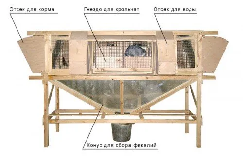 Cuști, o mini fermă pentru iepuri desenată de Mihailov