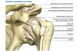 Reducerea simptomelor dislocare de umăr și de clasificare (fotografii și video)