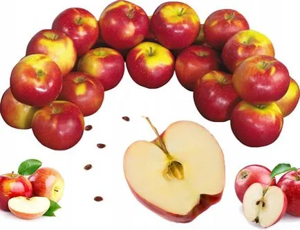 Minden, amit tudni kell az alma és alma csontok miért lehet enni a csontok almából, fitness