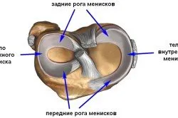 колянната