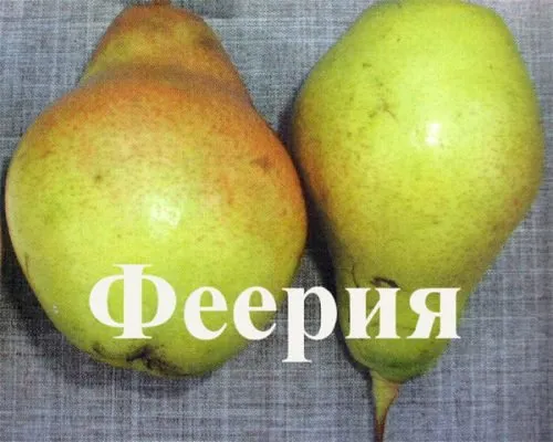 Pear Extravaganza описание на сорта, характеристики на грижите