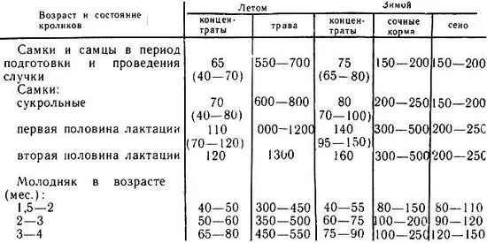 Каква трева може да се дава на зайци, суха и свежа