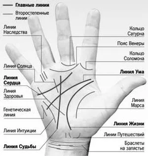 Букви на ръце. Какво означават знаците a, b, c, d, d, i, l, m, n, p, t, u, x на дланта