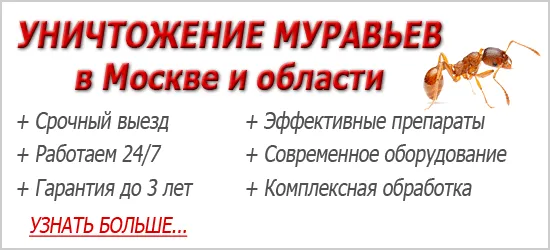 репеленти