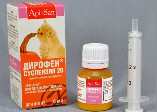 Dirofen за котки прегледи, инструкции за употреба, противопоказания Murkote за котки и котки