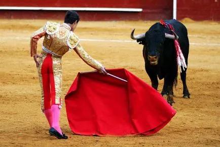 Какво бикове не обичам бикоборството матадор червен плат (мулета)